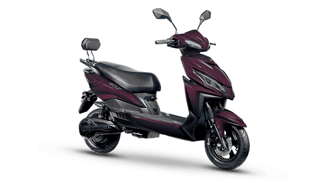 Joy e-bike Wolf Plus